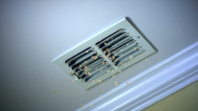 Home Air Vent Cleaning in Weaver, AL
