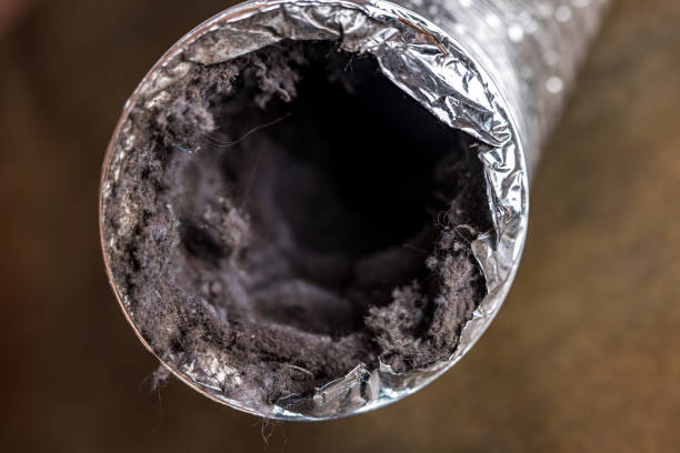Best Commercial Air Duct Cleaning  in Weaver, AL